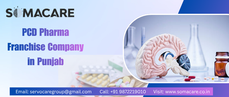 PCD Pharma Franchise Company in Punjab