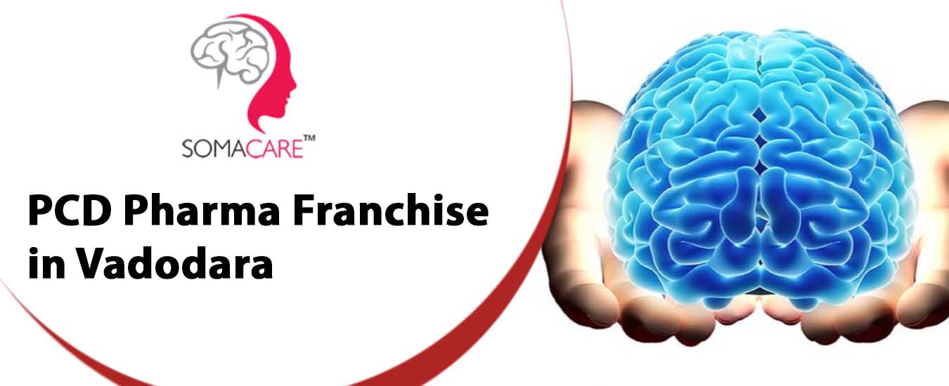 PCD Pharma Franchise in Vadodara